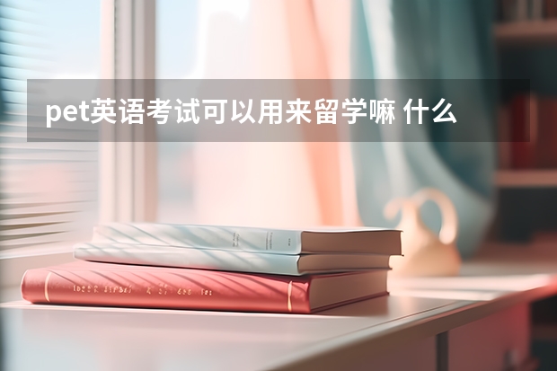 pet英语考试可以用来留学嘛 什么是PET考试？小学生考这个证书有用吗？