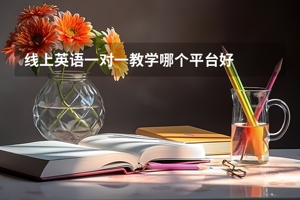 线上英语一对一教学哪个平台好