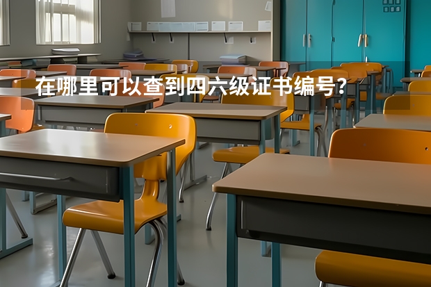 在哪里可以查到四六级证书编号？