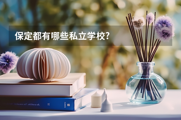 保定都有哪些私立学校?