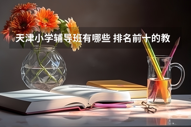 天津小学辅导班有哪些 排名前十的教育辅导机构