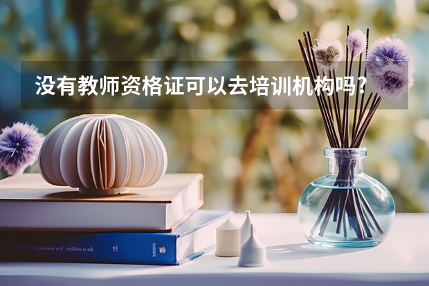 没有教师资格证可以去培训机构吗?