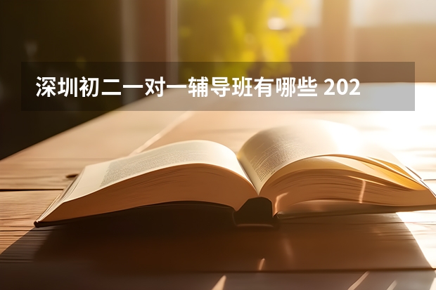 深圳初二一对一辅导班有哪些 2023初中教育机构排名