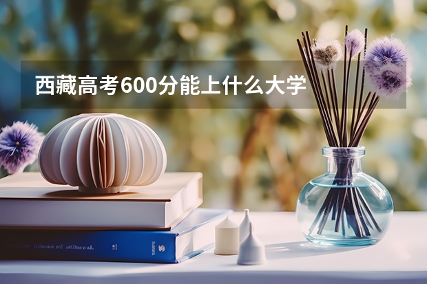 西藏高考600分能上什么大学