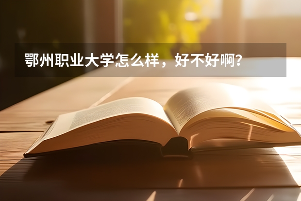 鄂州职业大学怎么样，好不好啊？