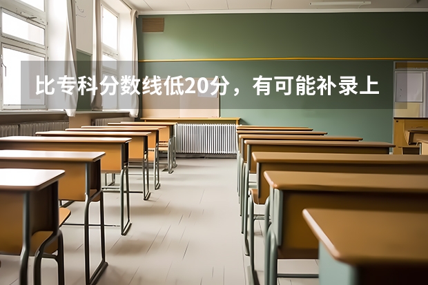 比专科分数线低20分，有可能补录上统招学校吗？河北廊坊的考生