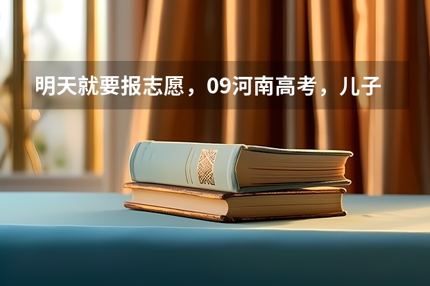 明天就要报志愿，09河南高考，儿子600分上什么学校好，最好、北京或者上海的学校