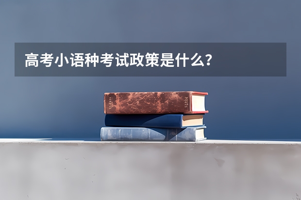 高考小语种考试政策是什么？